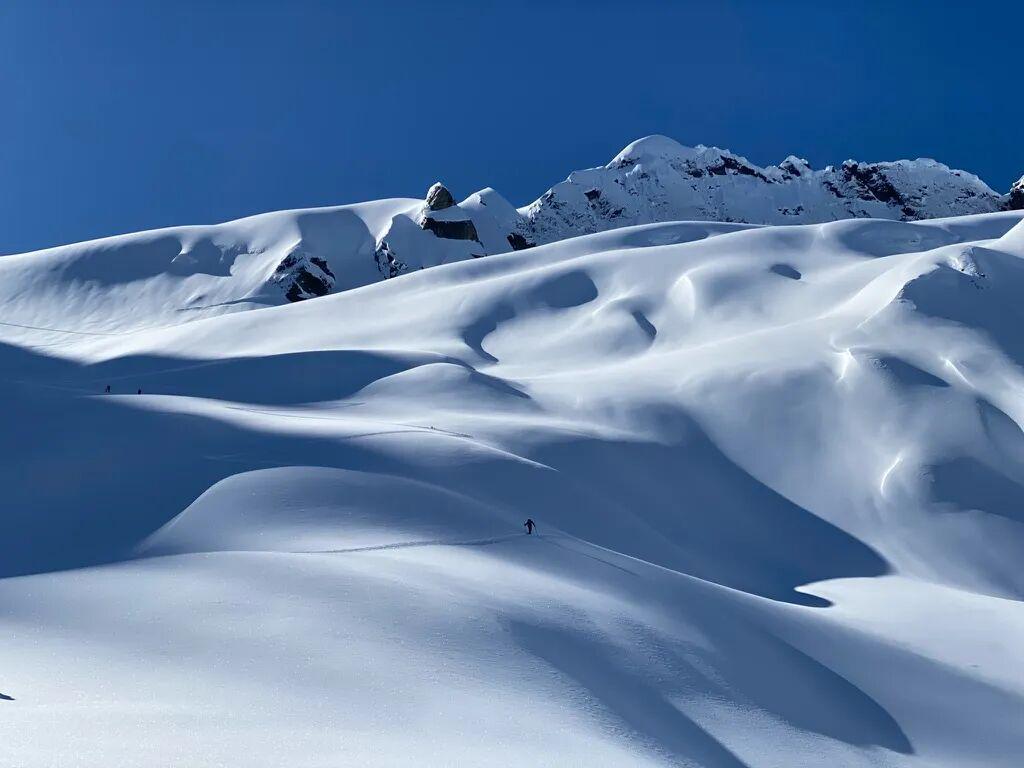 安卓版-滑雪不往下滑?奥运赛场上的“上坡冲刺”到底在比什么